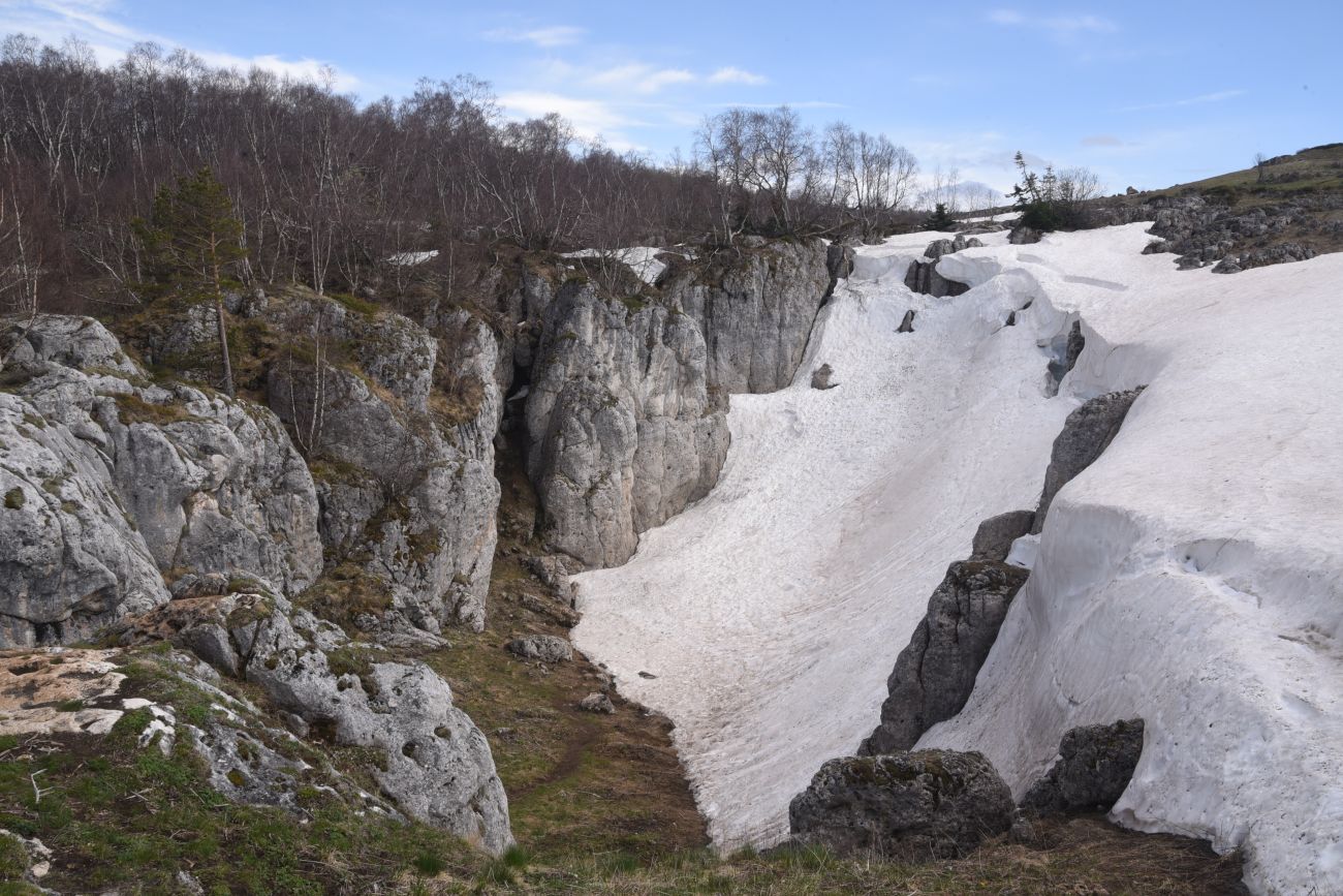 Окрестности ретранслятора, image of landscape/habitat.