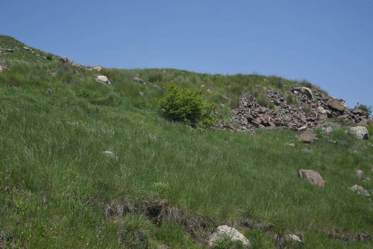 Окрестности Зеда-Тмогви, image of landscape/habitat.