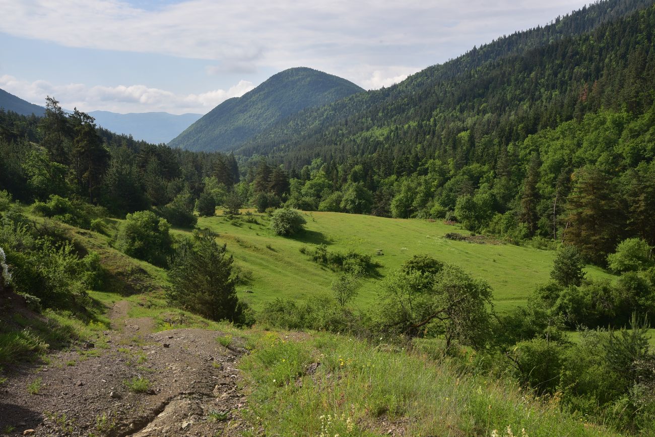 Цинубанская баня, image of landscape/habitat.