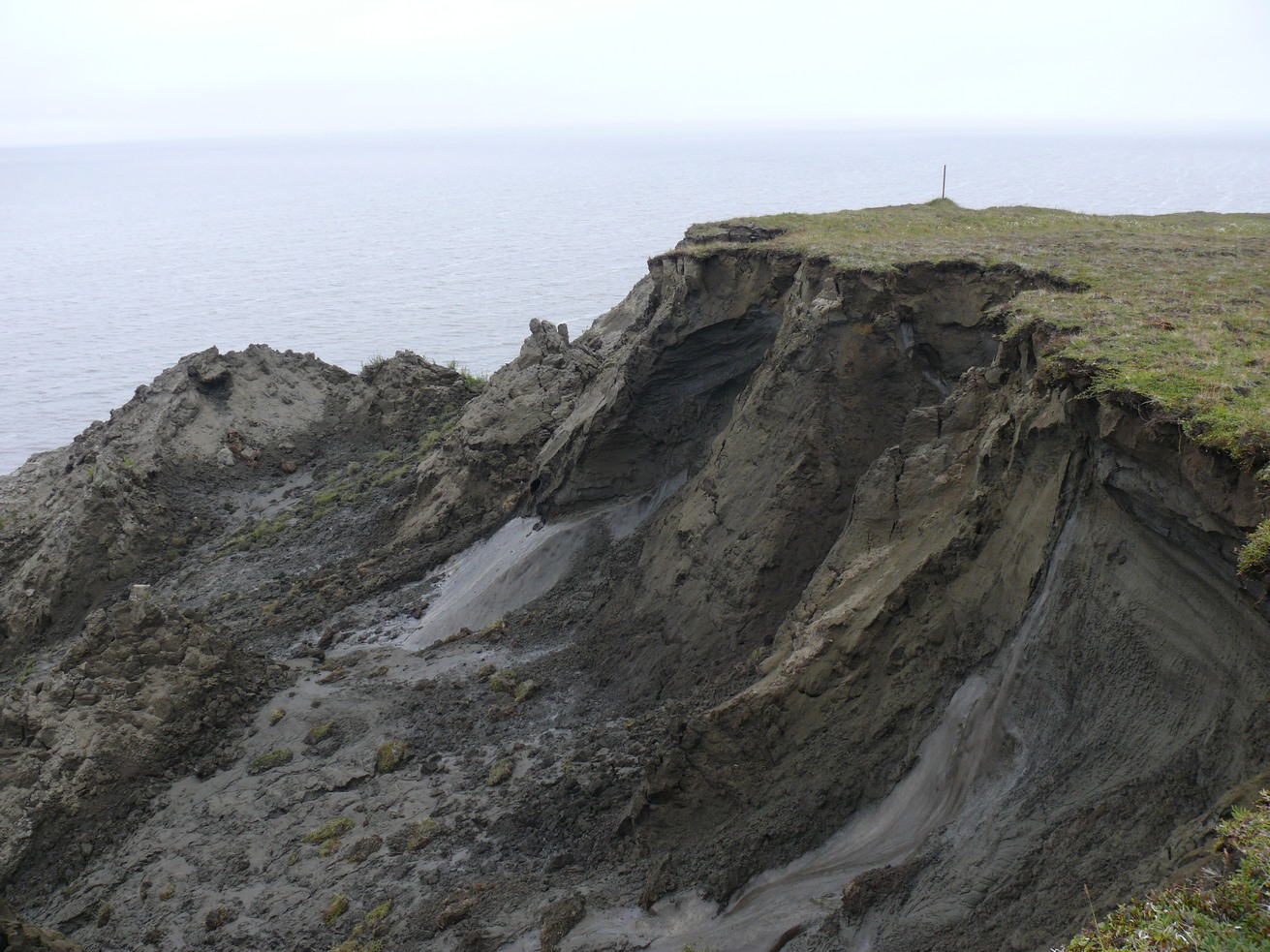 Острова Янского залива, image of landscape/habitat.