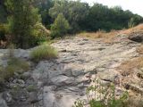 Image of landscape