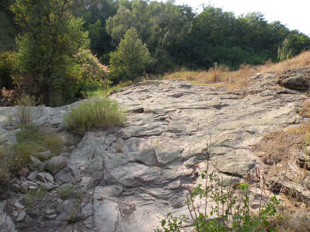 Балка Новогригоровская, image of landscape/habitat.