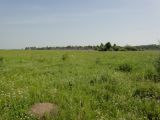 Image of landscape
