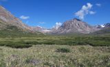 Image of landscape