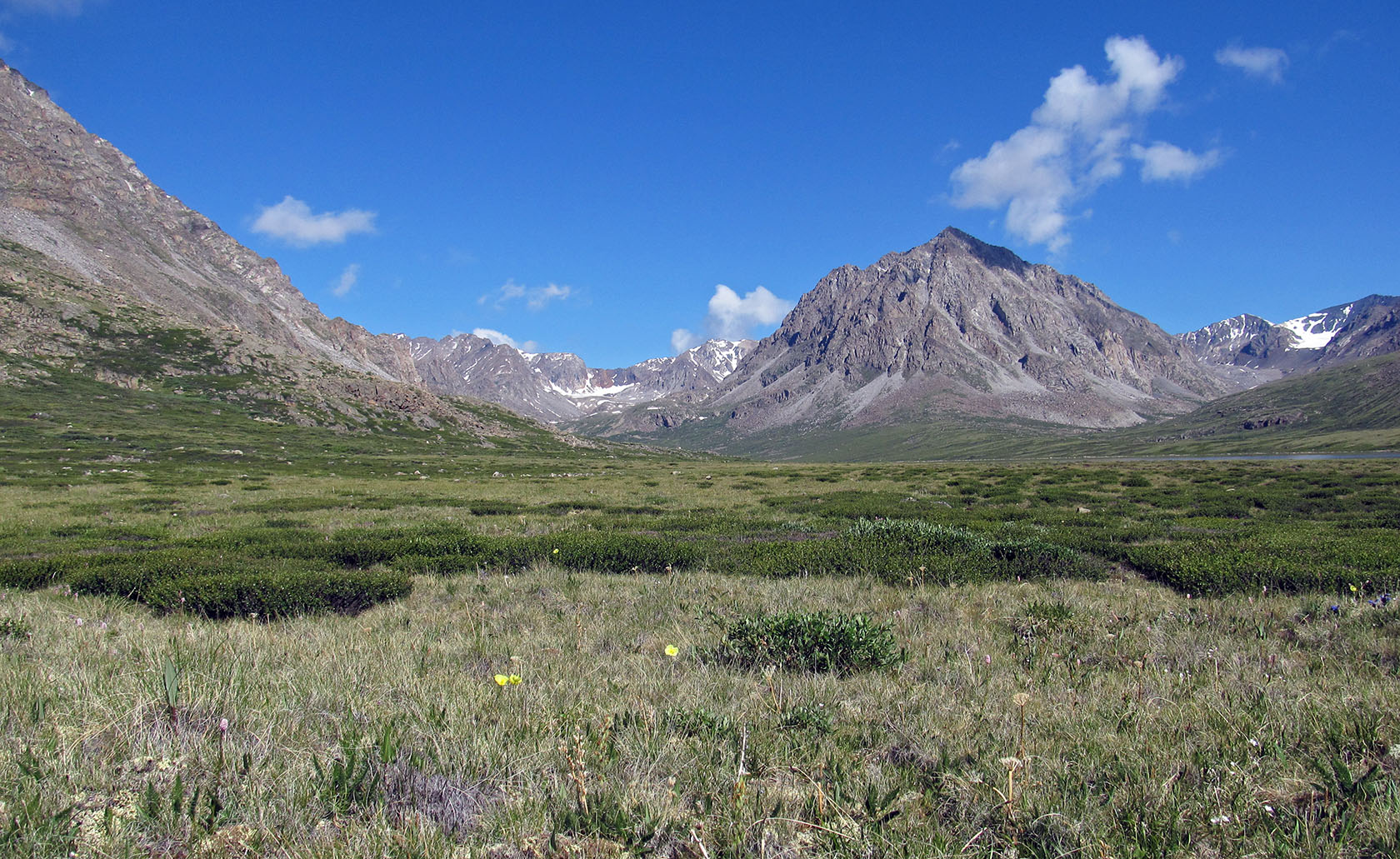 Монгун-Тайга, image of landscape/habitat.