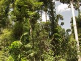 Image of landscape