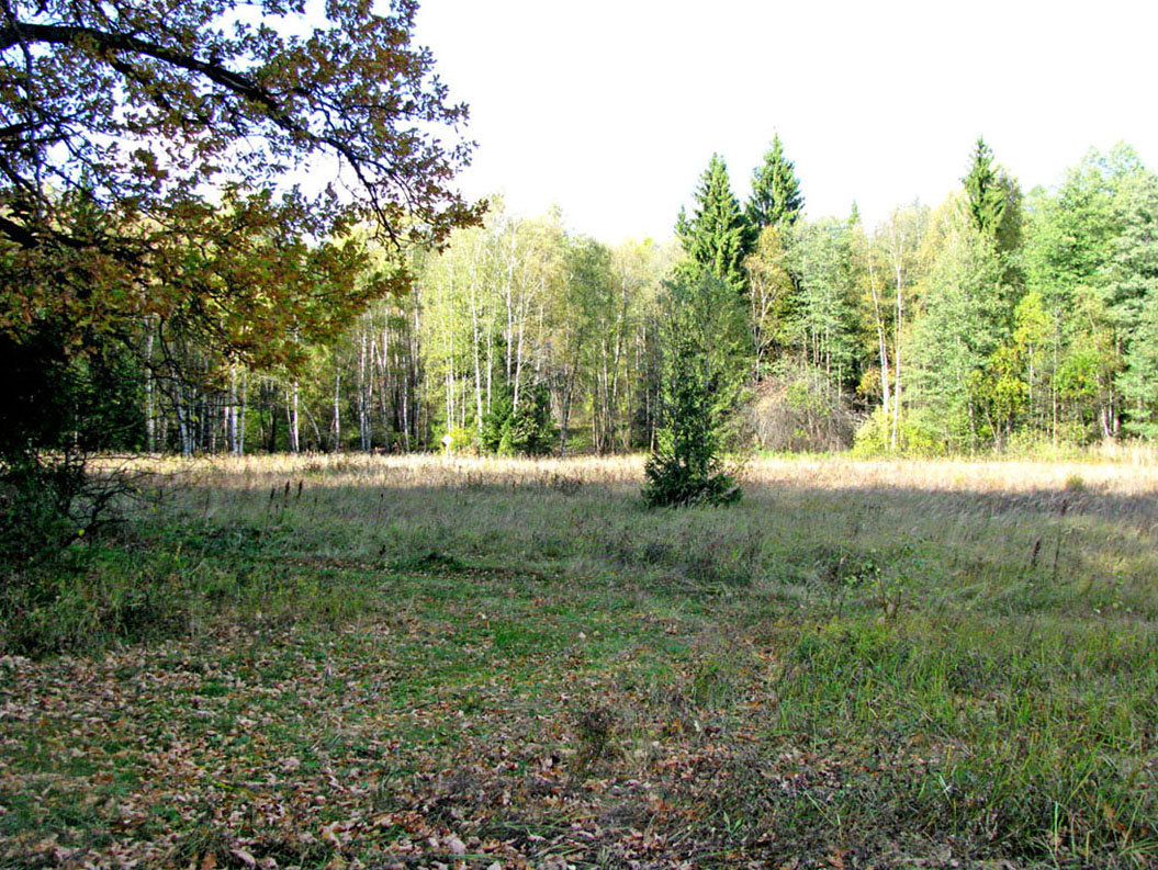 Приокско-Террасный заповедник, image of landscape/habitat.