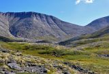 Image of landscape