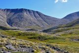 Перевал Южный Рисчорр, image of landscape/habitat.