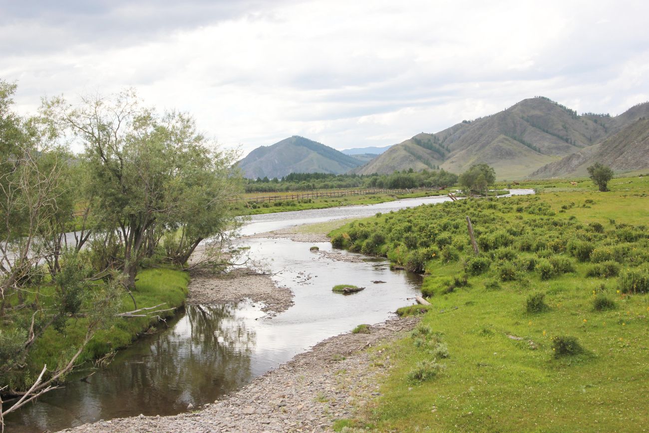 Окрестности Усть-Канской пещеры, image of landscape/habitat.