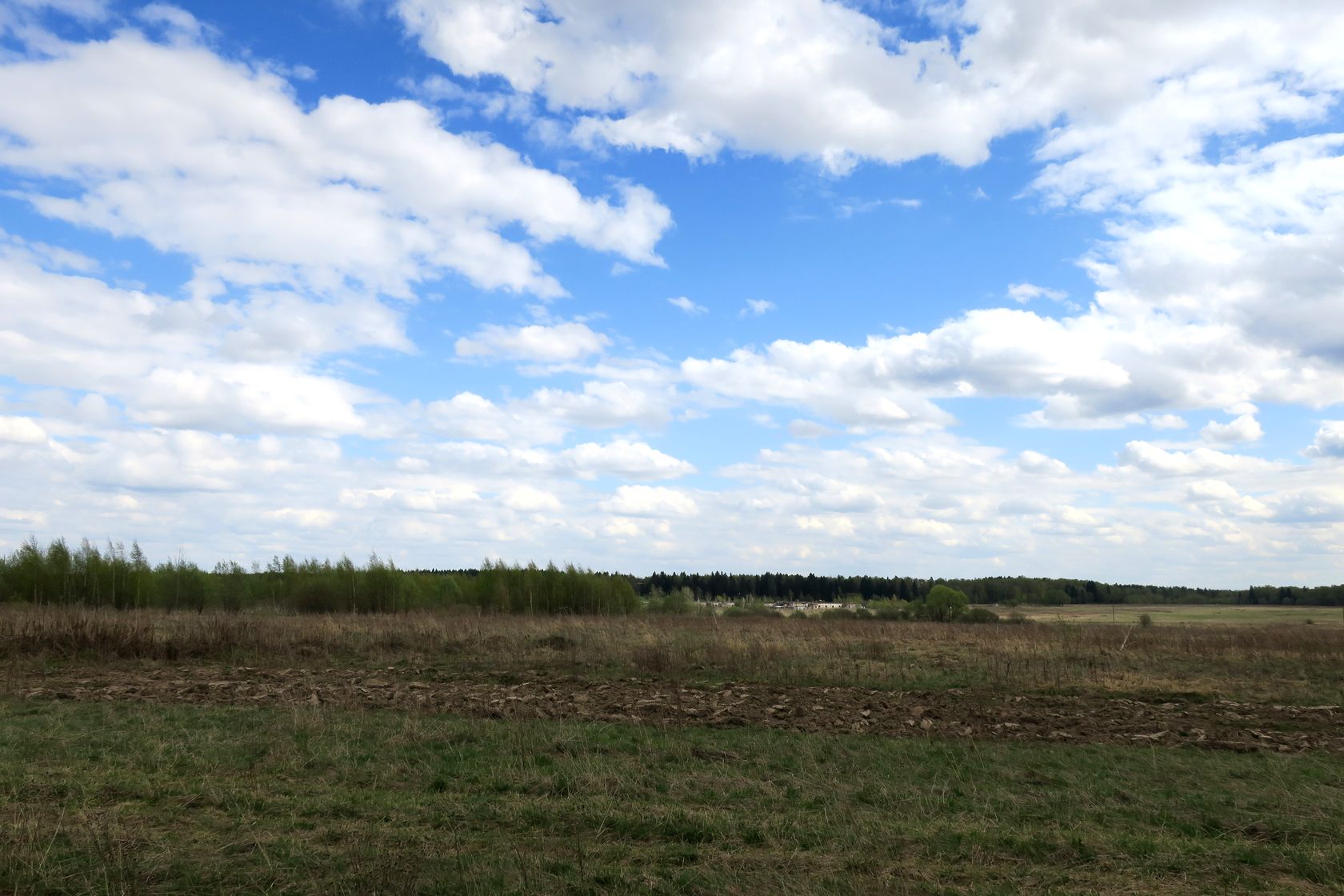 Ярцево, image of landscape/habitat.