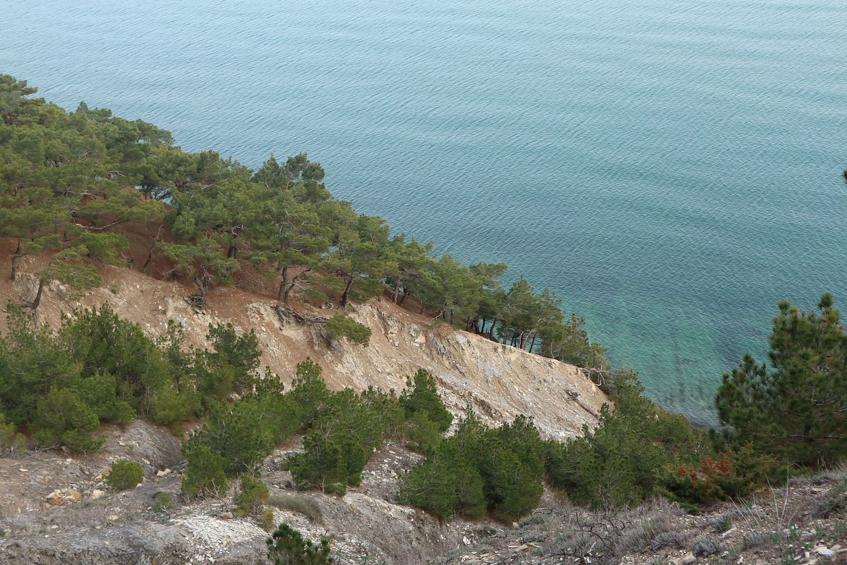 Гора Колдун, image of landscape/habitat.