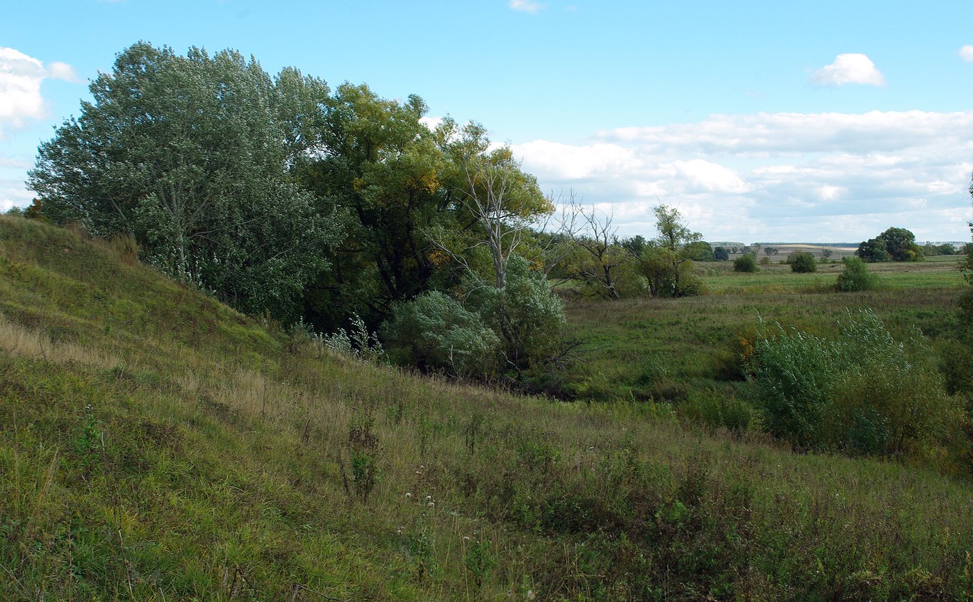 Серебряные Пруды, image of landscape/habitat.