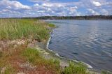 Окрестности села Гуселетово, image of landscape/habitat.