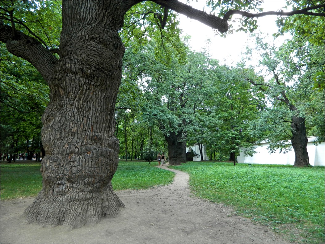 Москва, image of landscape/habitat.