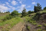 Цинубанская баня, image of landscape/habitat.