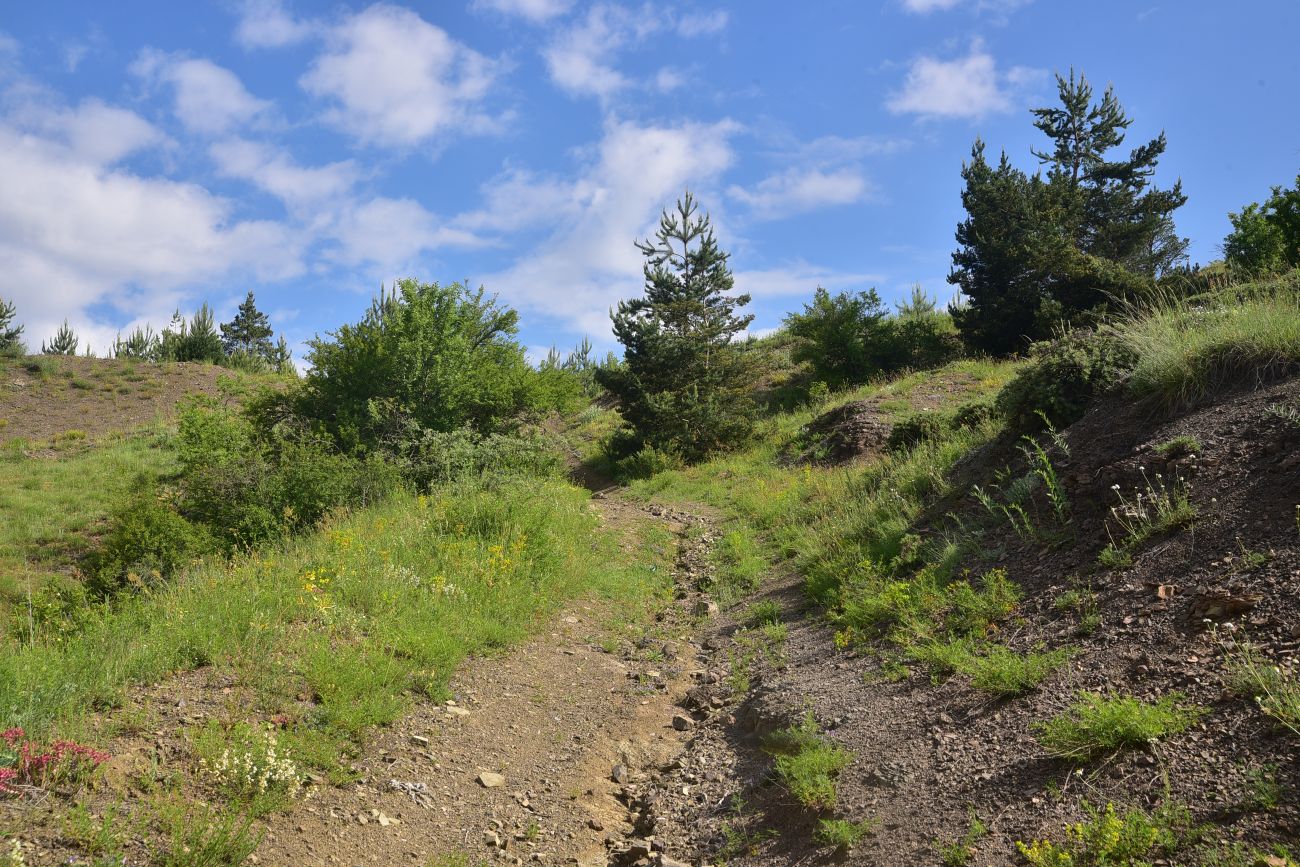 Цинубанская баня, image of landscape/habitat.