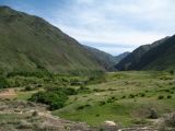Жаманты, image of landscape/habitat.