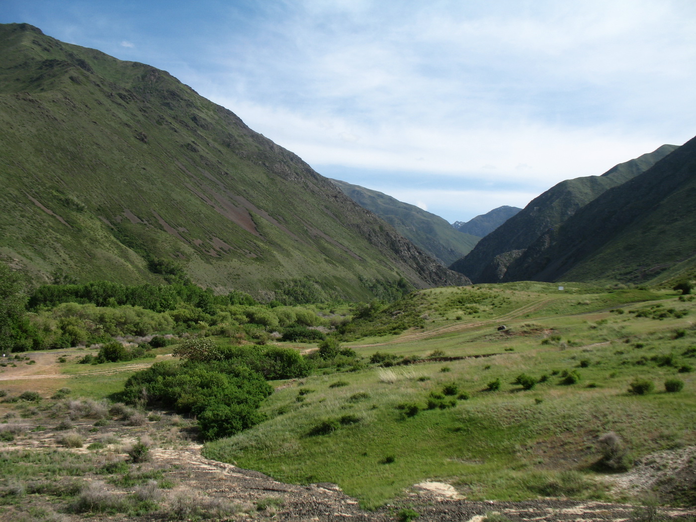 Жаманты, image of landscape/habitat.
