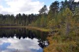 Image of landscape