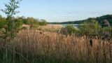 Image of landscape
