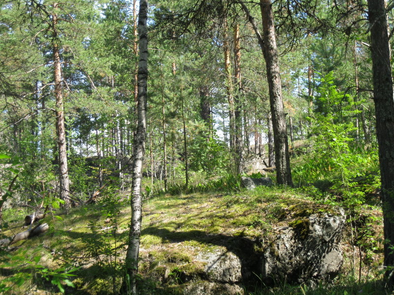 Кончозеро, image of landscape/habitat.