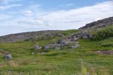 Териберка, image of landscape/habitat.