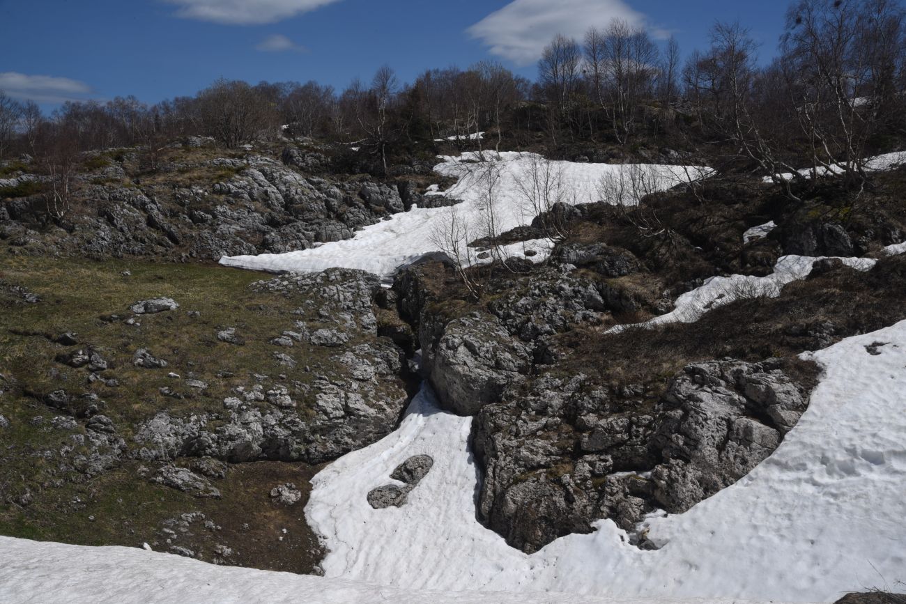 Окрестности ретранслятора, image of landscape/habitat.