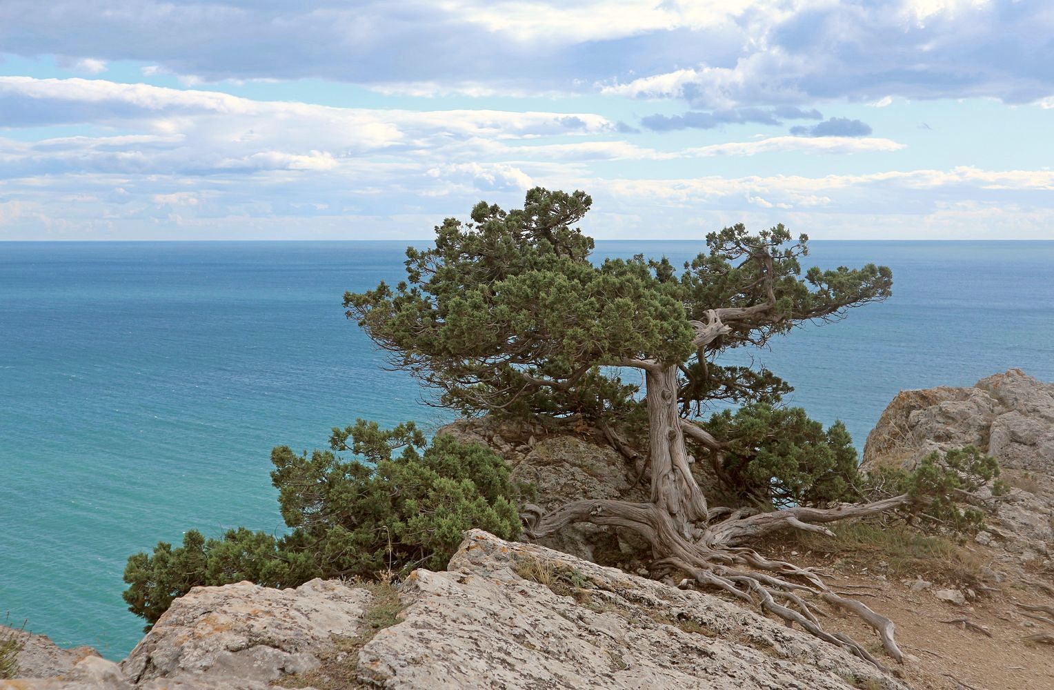 Урочище Алчак-Кая, image of landscape/habitat.