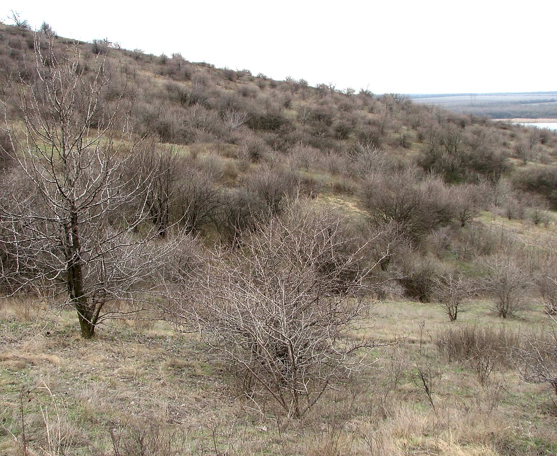 Клебан-Бык, изображение ландшафта.