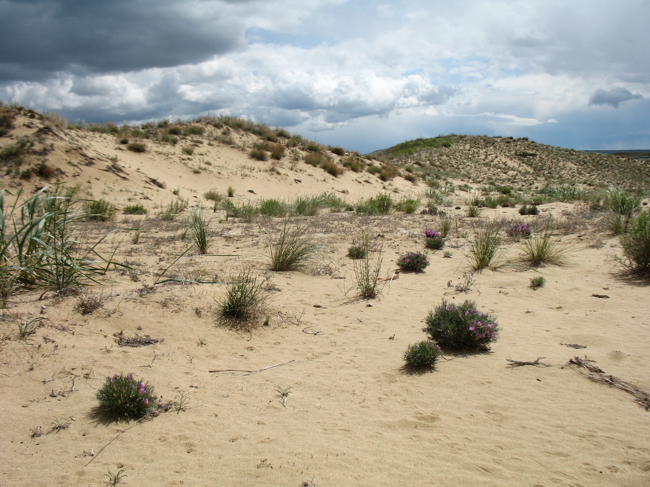 Казнаковская переправа, image of landscape/habitat.