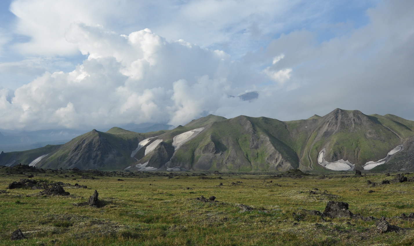 Перевал Толбачинский, image of landscape/habitat.