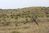 Image of landscape