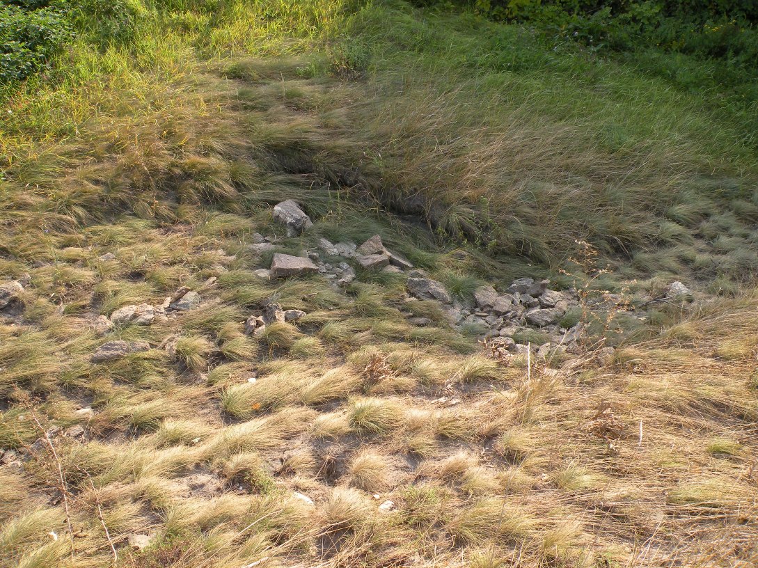 Балка Новогригоровская, image of landscape/habitat.