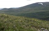 Image of landscape