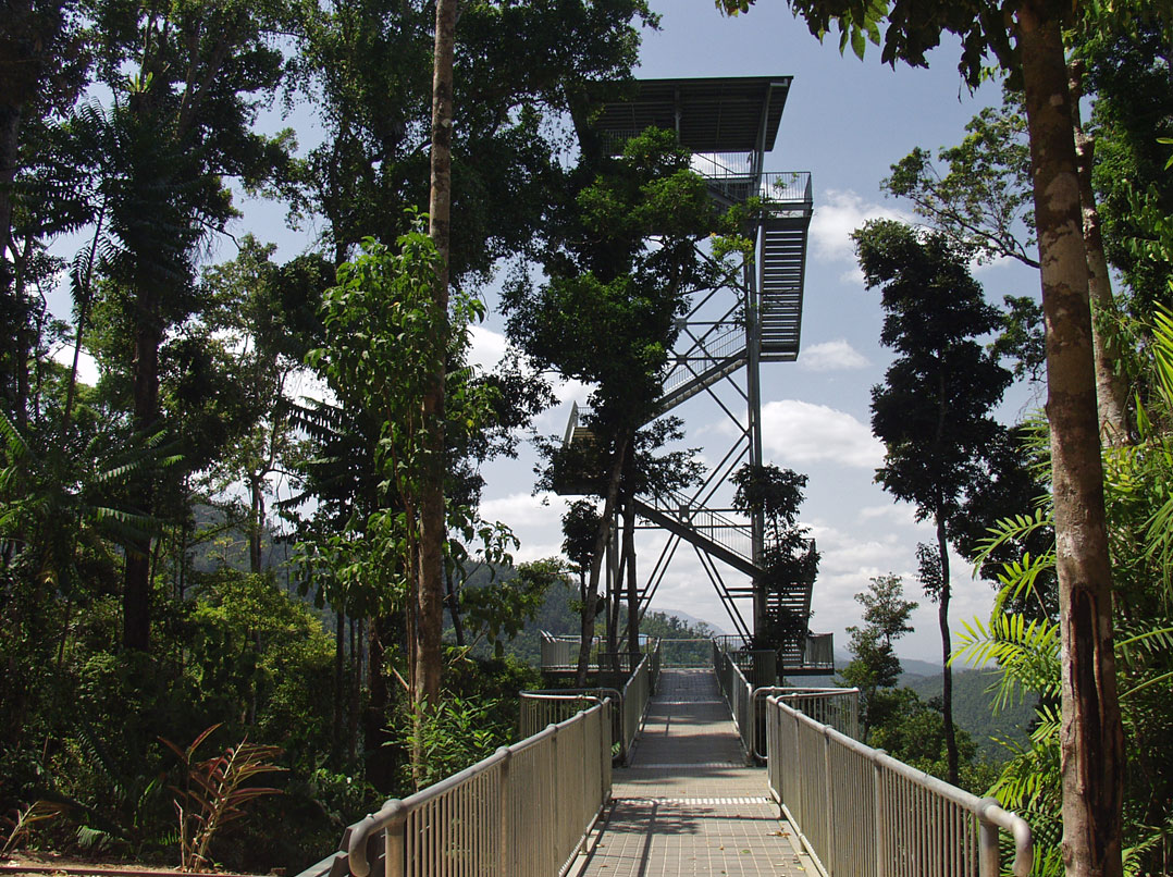 Mamu Tropical Skywalk, image of landscape/habitat.