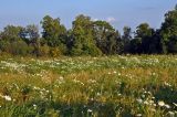 Гремячий ключ, image of landscape/habitat.