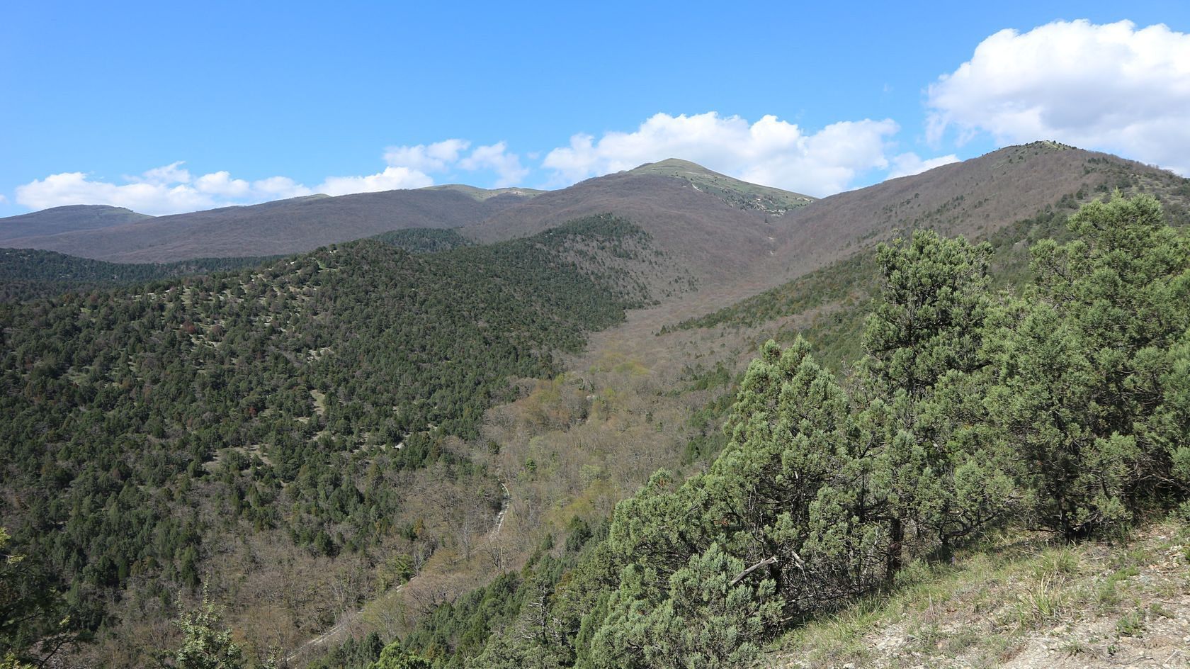 Трубецкая щель, image of landscape/habitat.