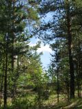 Image of landscape