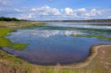 Окрестности села Гуселетово, image of landscape/habitat.