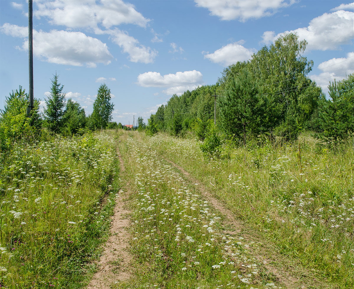 Поселок Юго-Камский, изображение ландшафта.