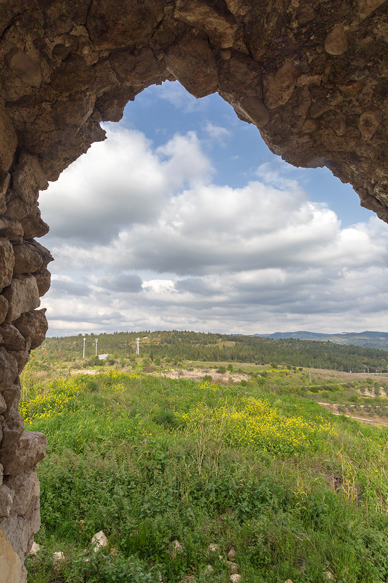 Окрестности Латруна, image of landscape/habitat.