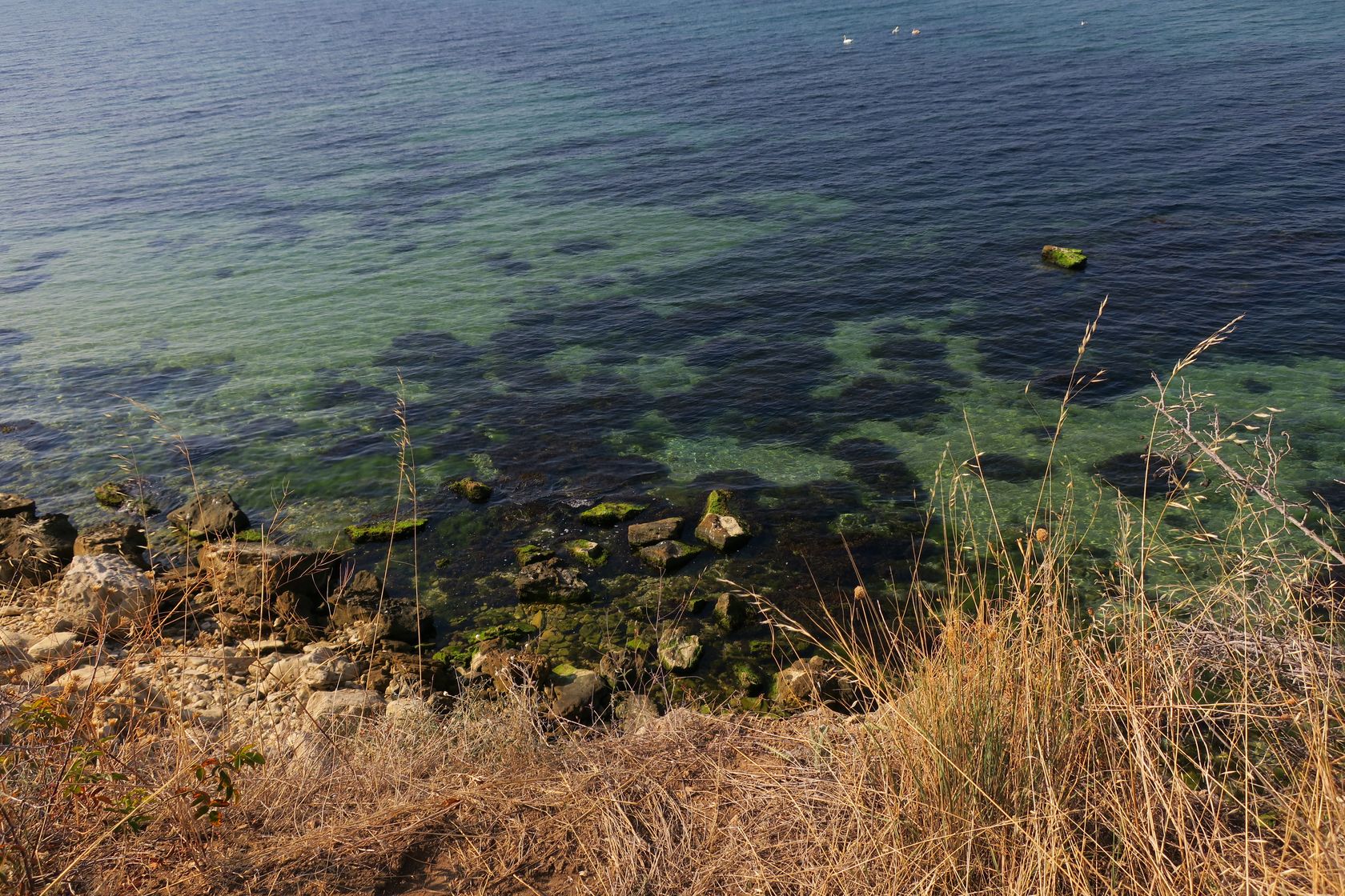 Дюны Несебра, image of landscape/habitat.