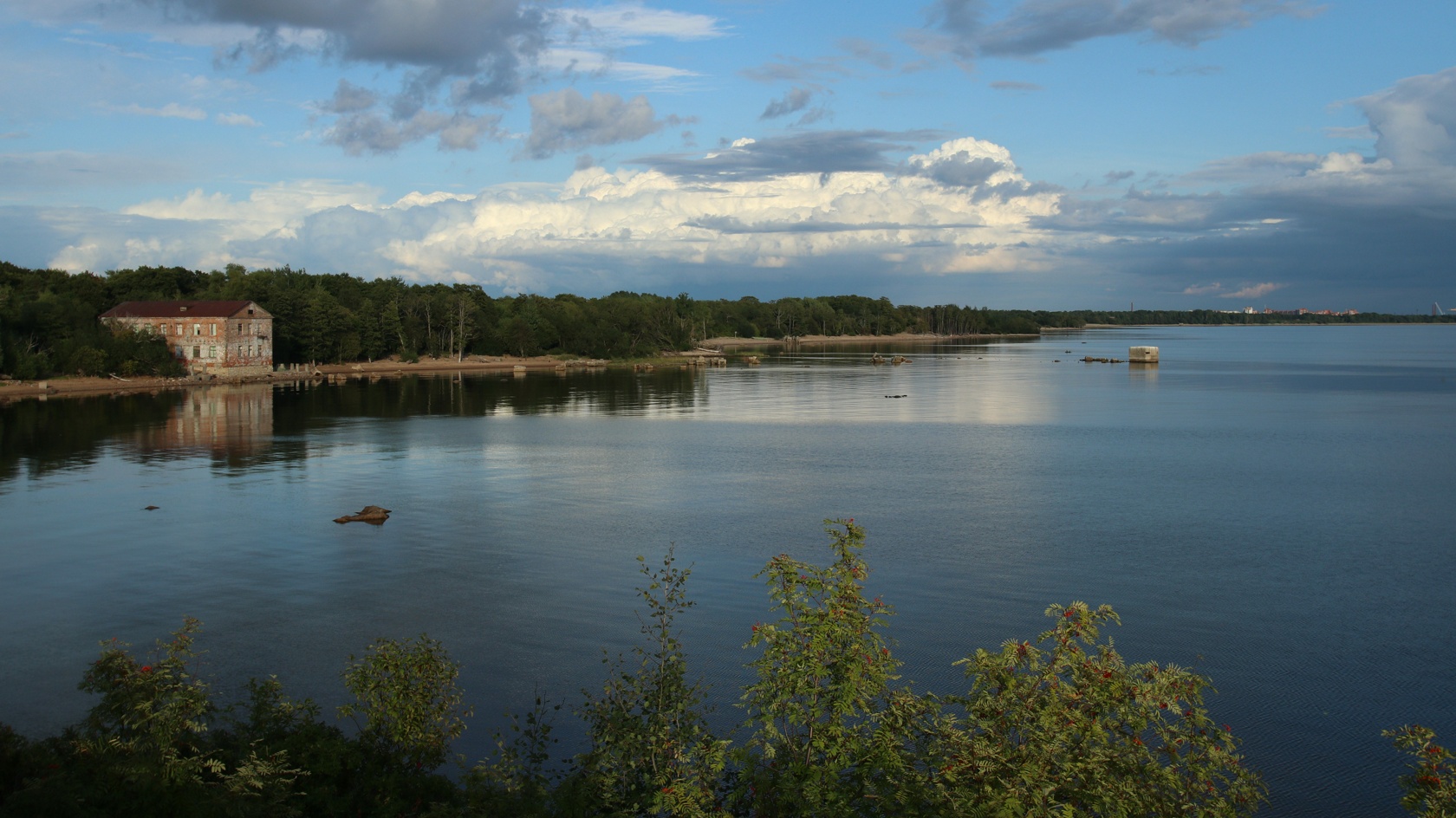 Западный Котлин, image of landscape/habitat.