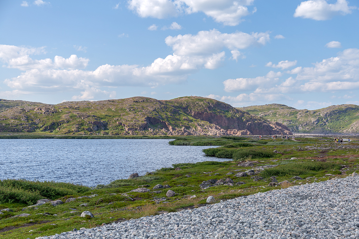 Териберка, image of landscape/habitat.