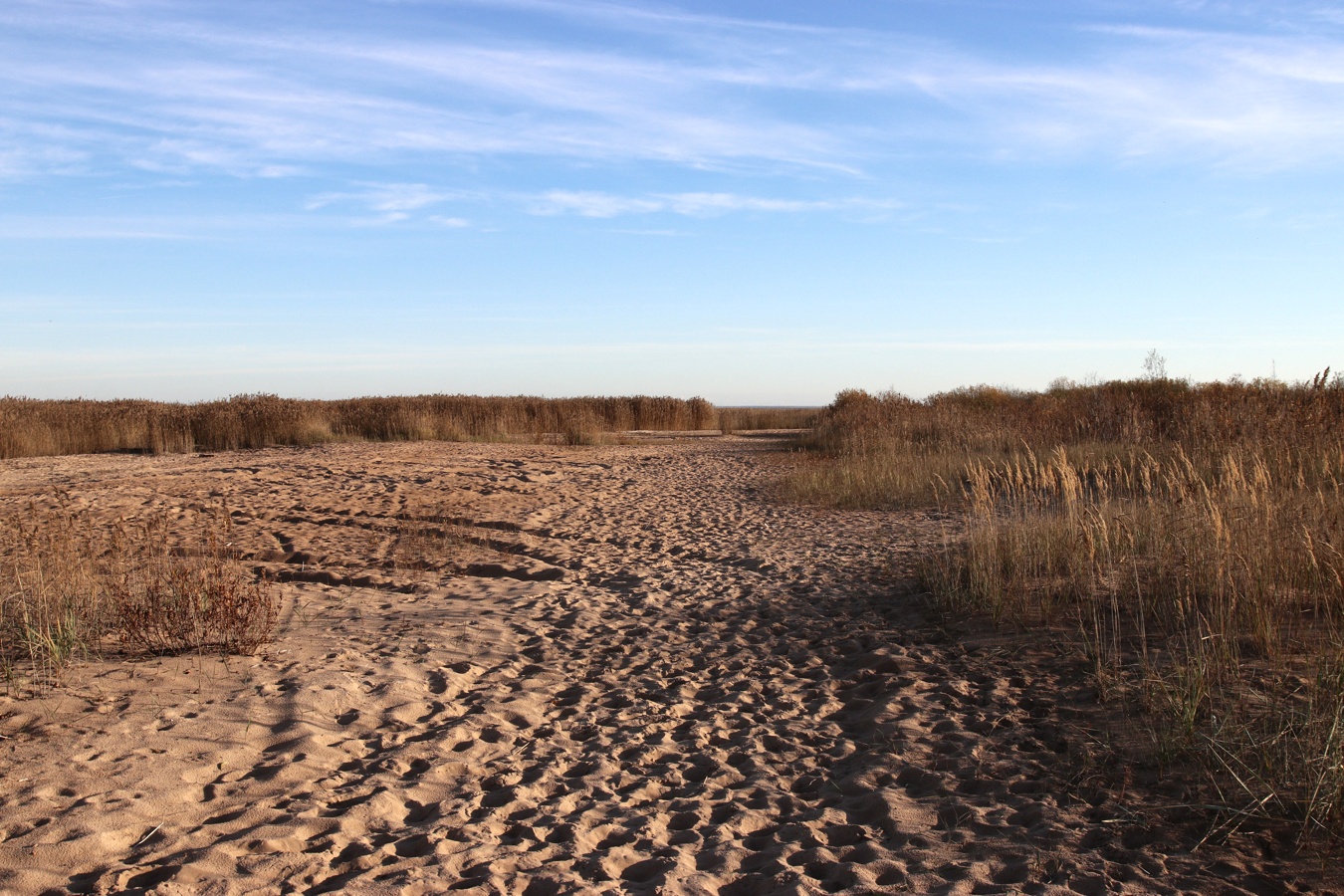 Окрестности Коккорево, изображение ландшафта.