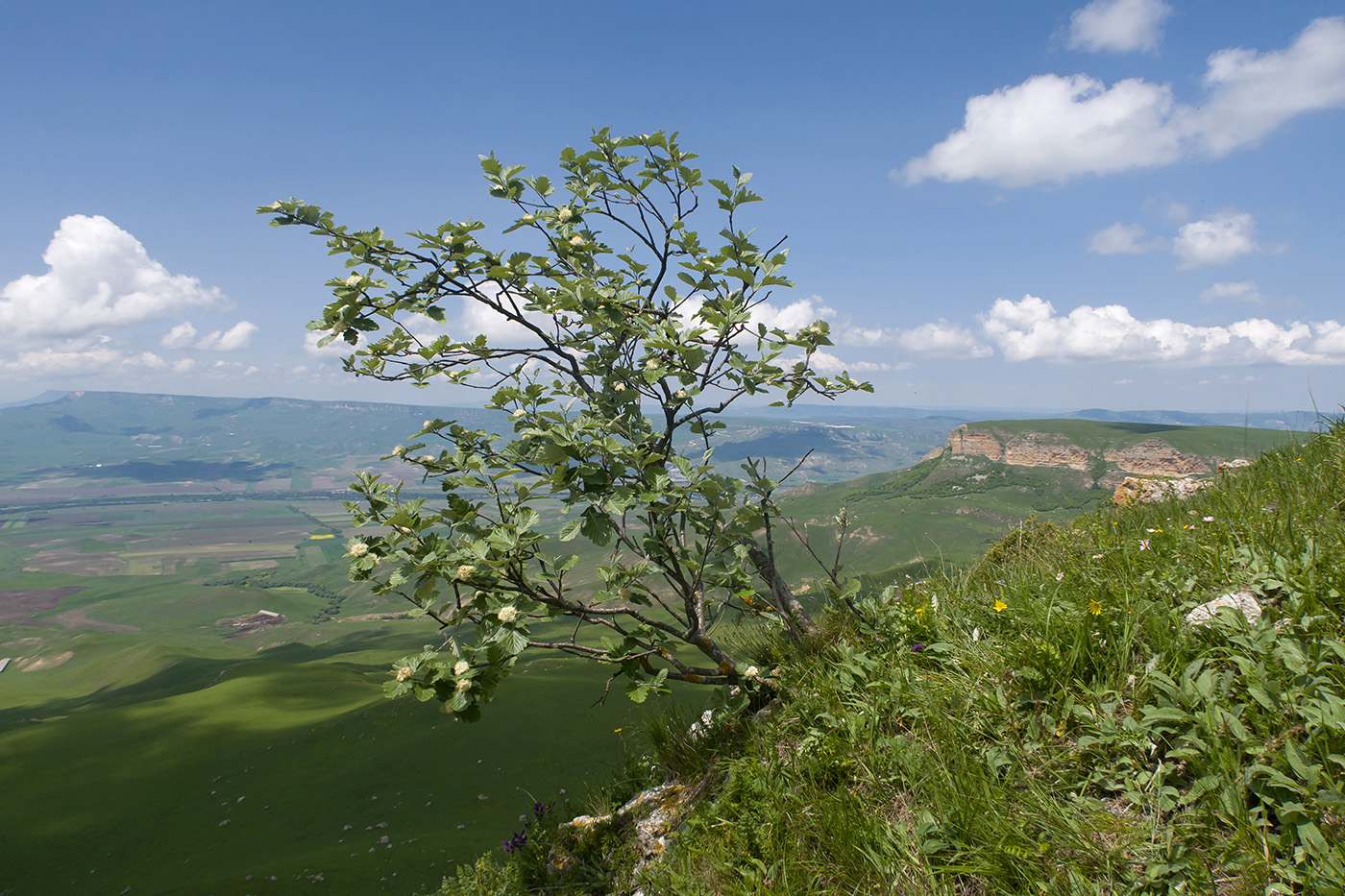 Джангур, изображение ландшафта.