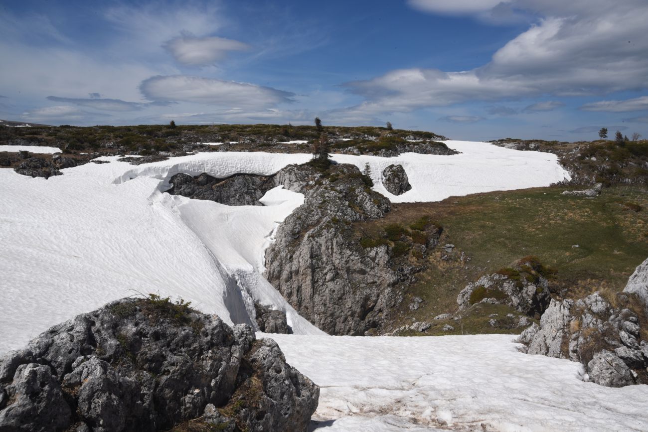 Окрестности ретранслятора, image of landscape/habitat.