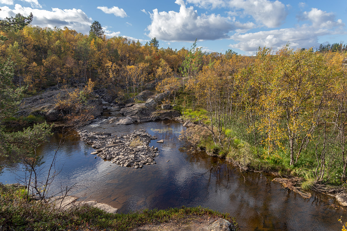 Река Ура, image of landscape/habitat.