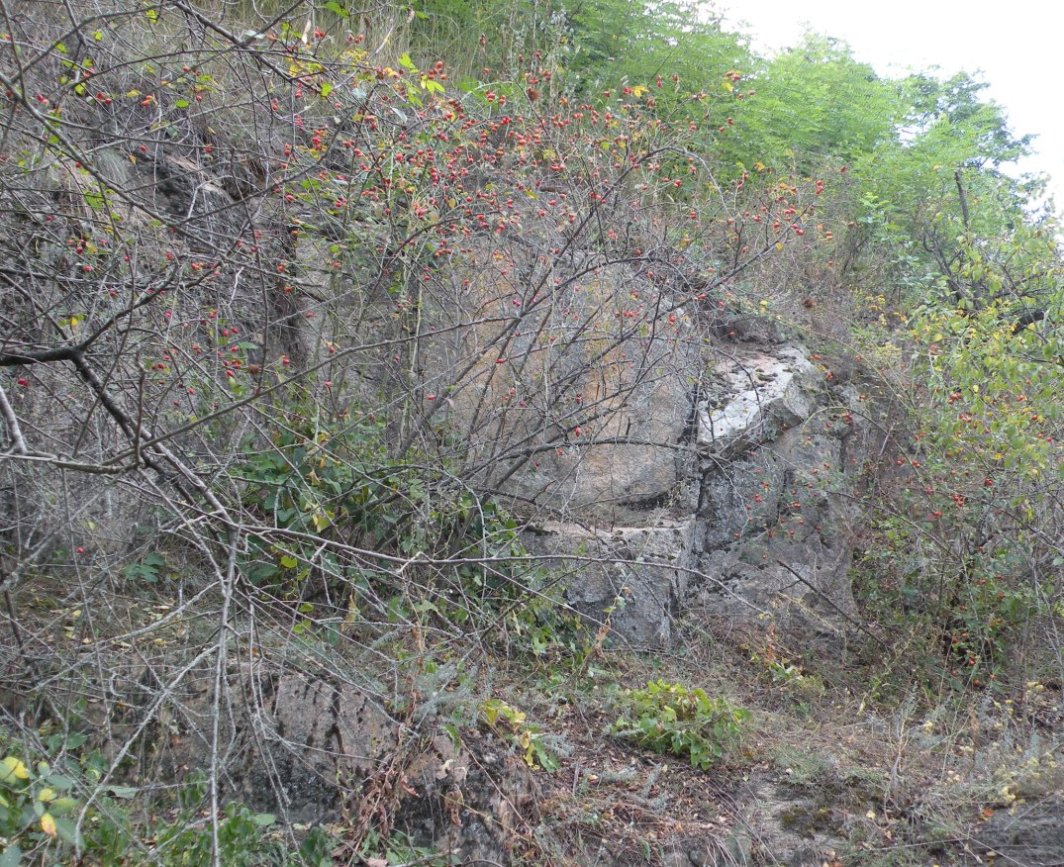 Балка Новогригоровская, image of landscape/habitat.